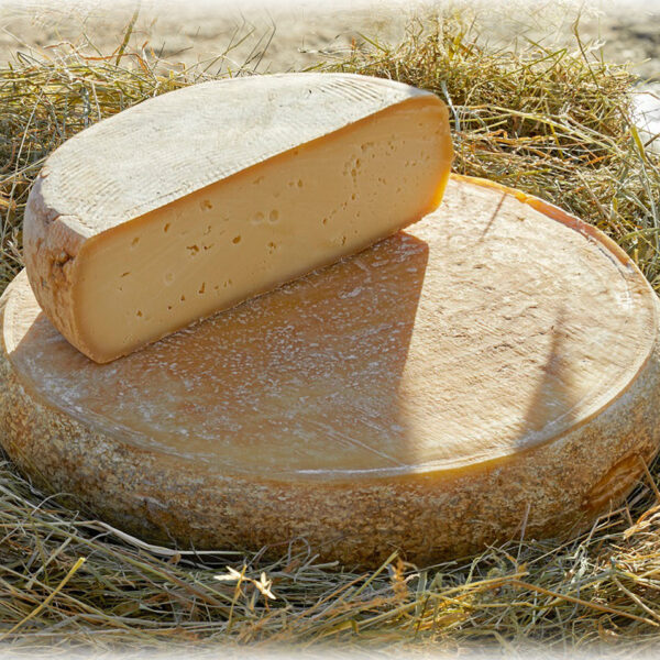 Scopriamo insieme la Casatta di Corteno Golgi: una perla casearia della Val Camonica 🧀🎉